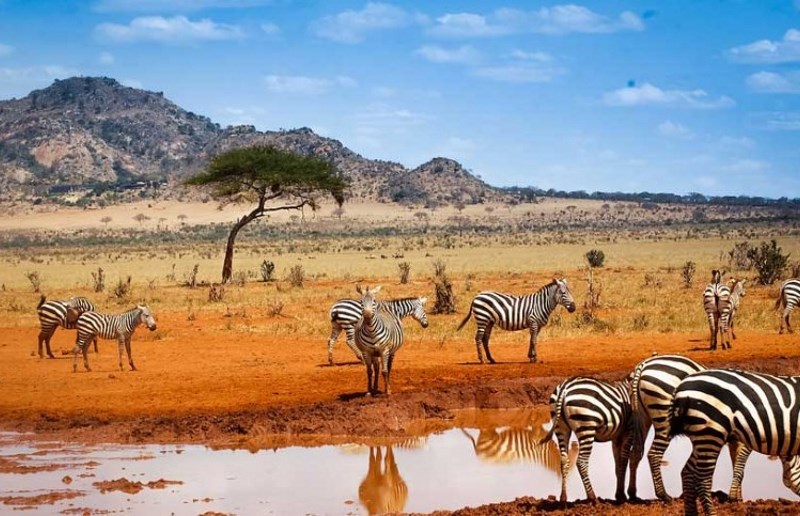 voyager-au-kenya