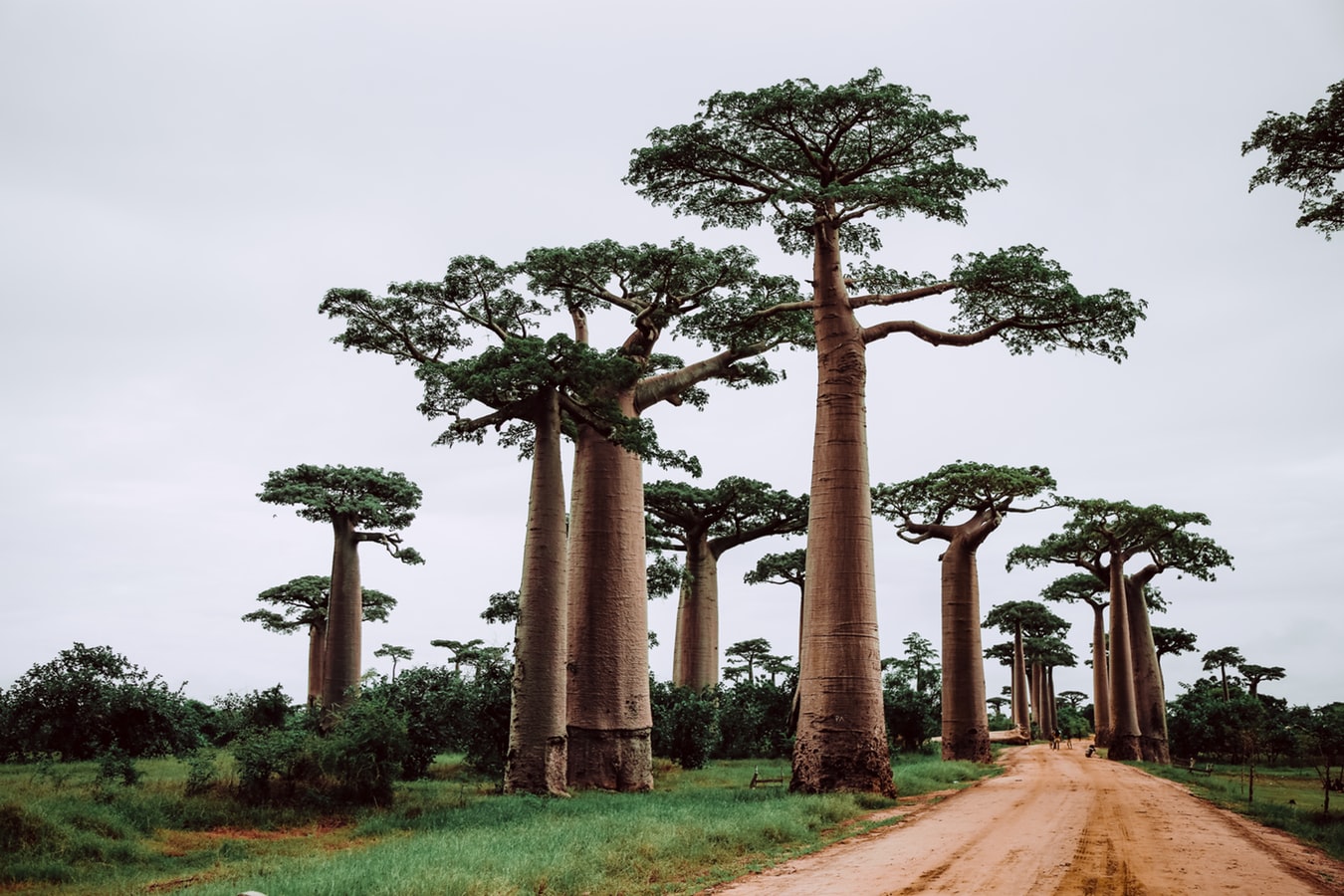 Road Trip à Madagascar