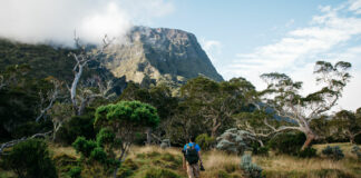 road-trip-a-la-reunion