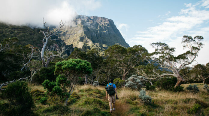 road-trip-a-la-reunion