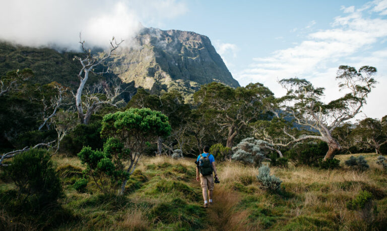 road-trip-a-la-reunion