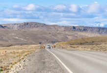 Paysage argentine