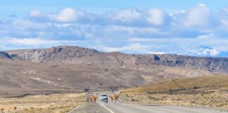 Paysage argentine
