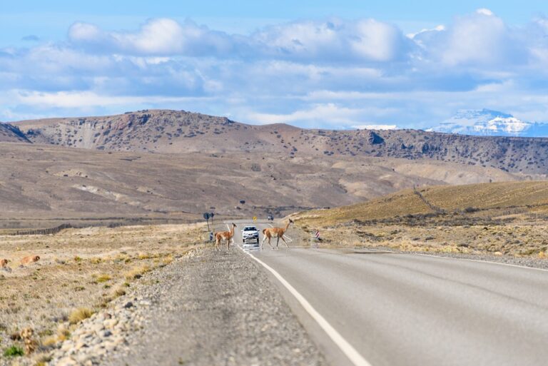 Paysage argentine