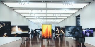 Découvrez les meilleurs musées à visiter lors de votre séjour à Miami musée miami