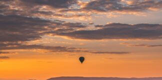Découverte inoubliable : le safari en Afrique du Sud Découverte inoubliable : le safari en Afrique du Sud